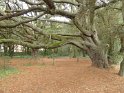 2017-09-29 15-48-23 Circuit entre plage et bocage (Pornichet) MBo